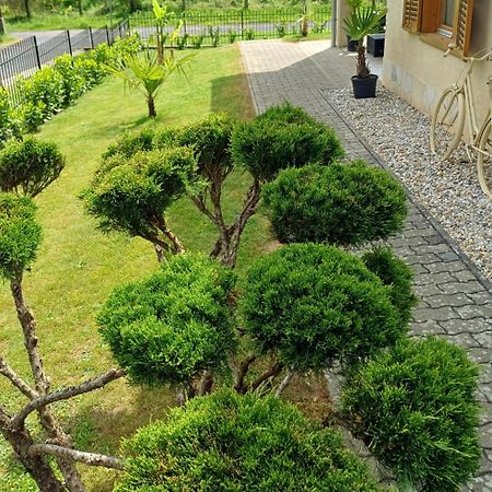 Mediterran Apartman زلاكاروس المظهر الخارجي الصورة