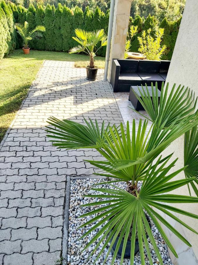 Mediterran Apartman زلاكاروس المظهر الخارجي الصورة